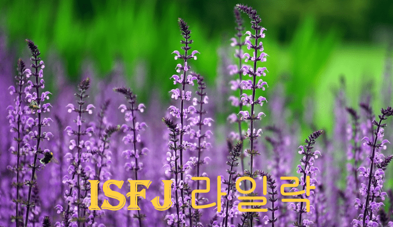 ISFJ 여자, ISFJ 남자