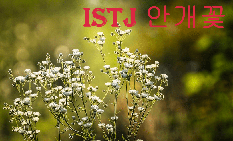 ISTJ 여자